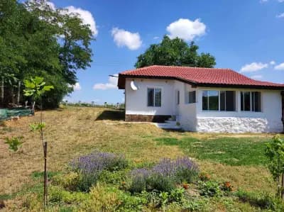 Vintage House Prima Priori