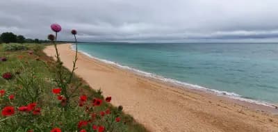 Sea You Guest House