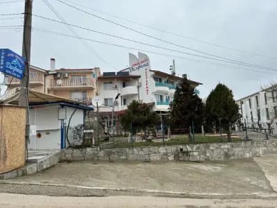 Делфина