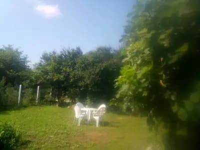 Markela Ezerec