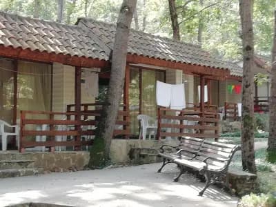 Вили Ропотамо