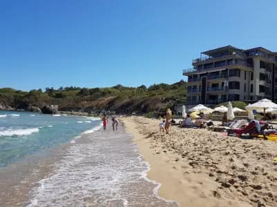 Sand Lilies Beach Apartment