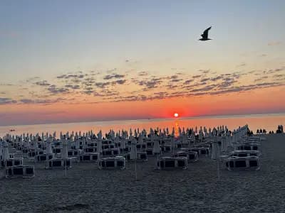 Kult Beach
