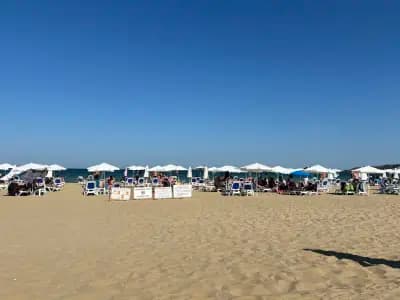 Sea Snobs Beach Bar