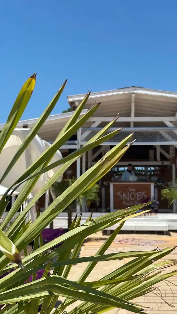 Sea Snobs Beach Bar