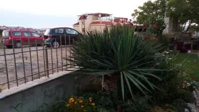 Zenith Guest House