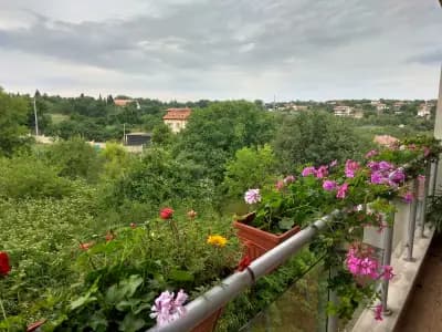 ВИЛА БЯЛА