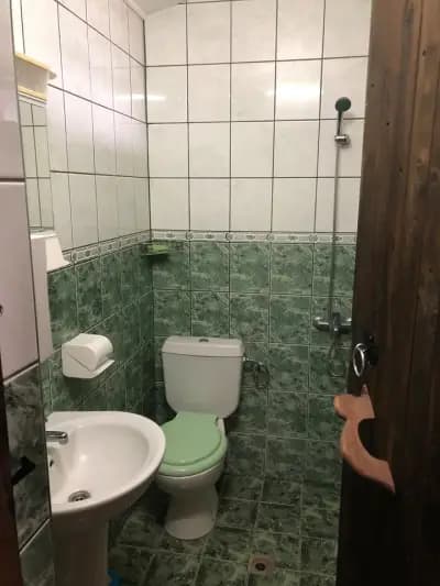 Под старата липа