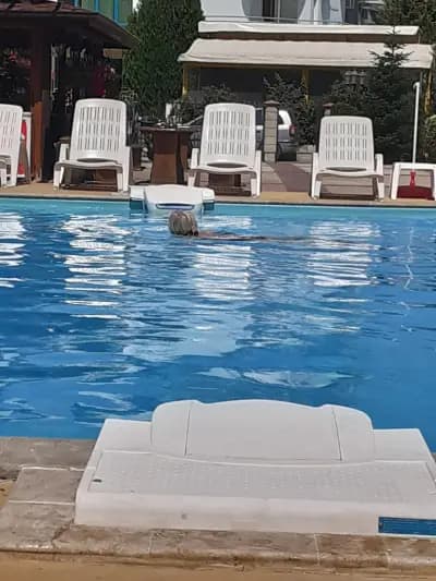 Hotel Black Sea - Breakfast, Pool & Free Parking