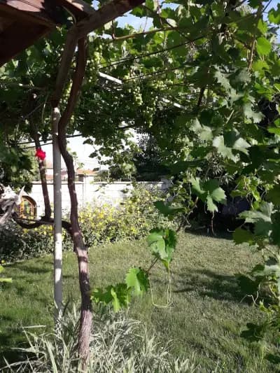 Къща за гости "Дона"