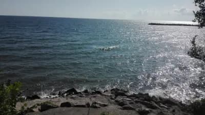 Dodo Beach Hotel