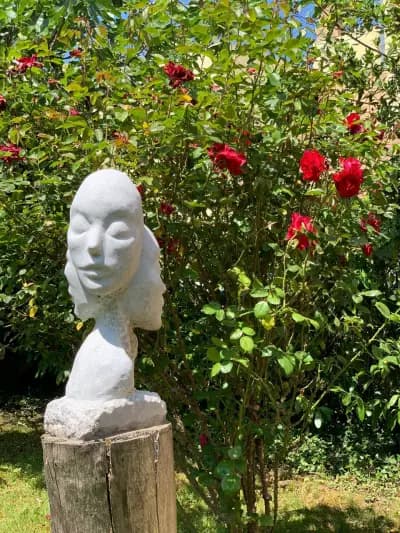 Friends By Giardino