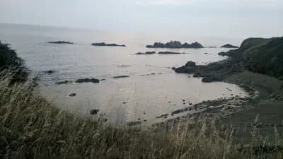 Хотел Ресторант Черно Море