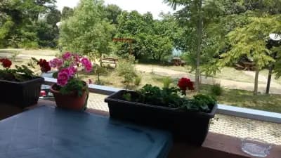 Apartament 4
