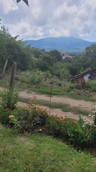 Къща Калина