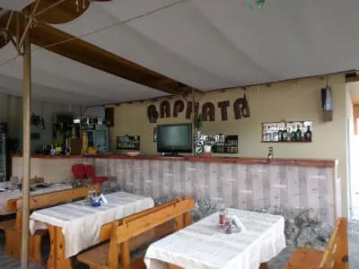 Варната