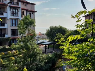 Oasis Del Mare Beach Front Hotel - All Inclusive