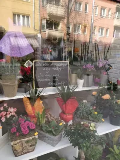 Зоомагазин Акита