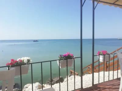 White Coast Beach Apartments