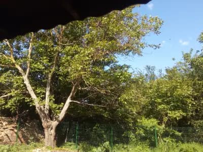 КЪЩА ЗА ГОСТИ ЕЛЛА