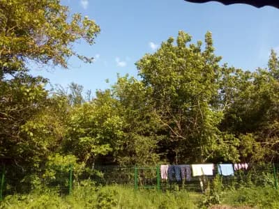 КЪЩА ЗА ГОСТИ ЕЛЛА