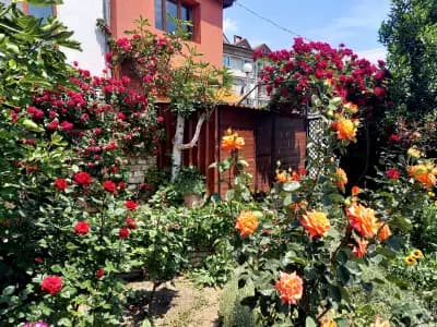 Regina's Guesthouse