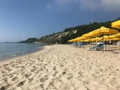 Hotel Palma Weiss
