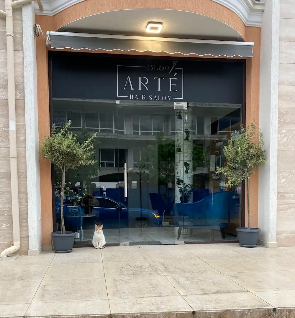 Arte Hair Salon