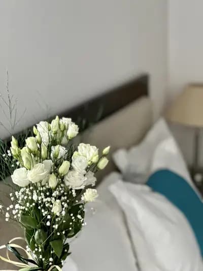 IRB Guest House Emona 4