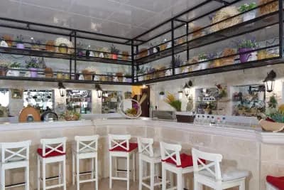 Royal Bay Hotel - All Inclusive