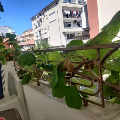 Family Hotel Andreev