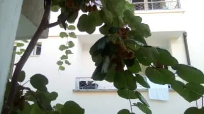 Family Hotel Andreev