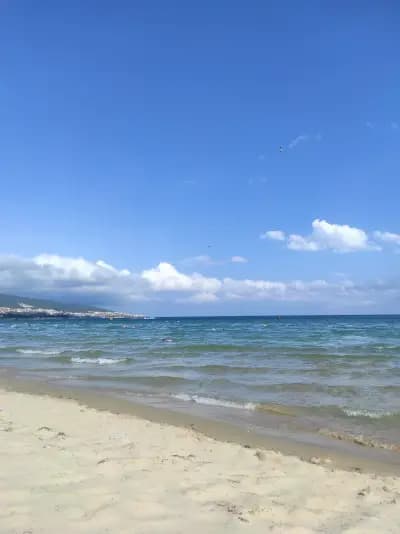 SUNNY BEACH PLAZA 17 Apartment