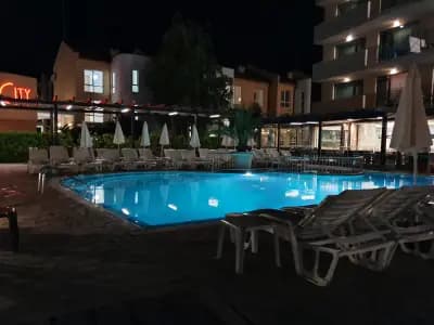 Hotel Lion