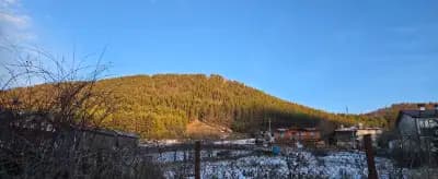 Паунова къща