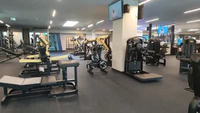 Next Level Fitness | Mладост 1