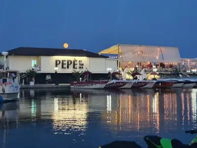 Pepe By The Sea - Marina Dinevi