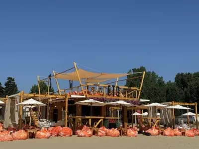 FTD Beach Bar