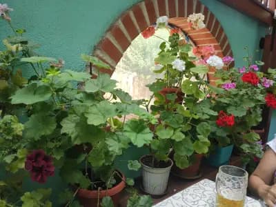 La Piazza Family Hotel