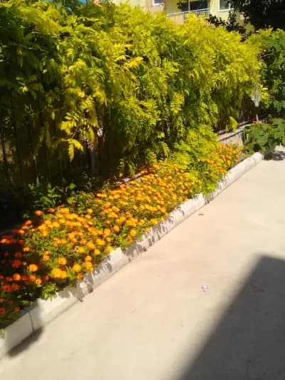 Gerber 4 Residence