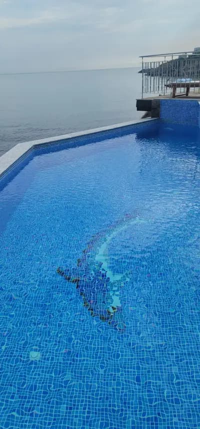 Dolphin Bay Boutique Complex