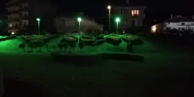 Пансион Дичев