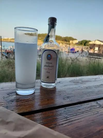 Албатрос