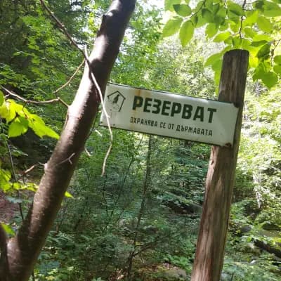 Изходна точка за хижа Яворов