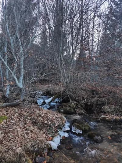 Изходна точка за хижа Яворов