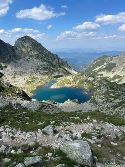Мальовица