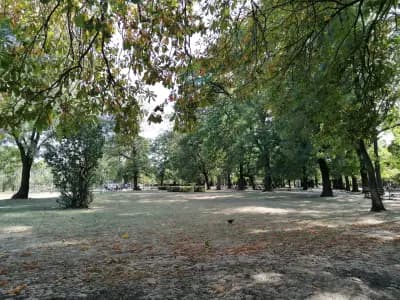 Барбекю & бар Боримечката