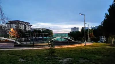Скейт Парк Младост