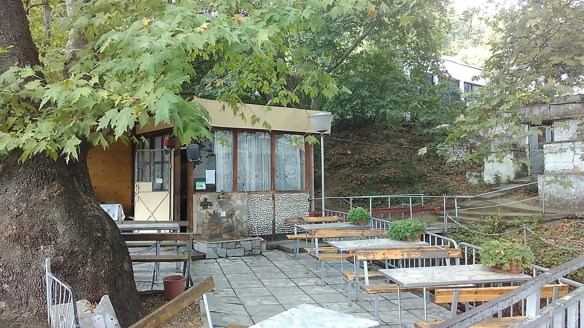 Каравана Яворите