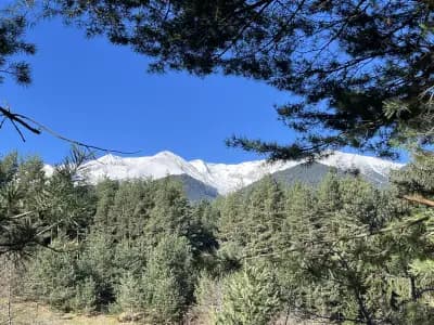 Stylish studio's Aspen Valley
